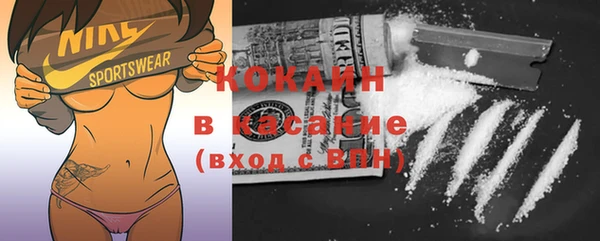 шишки Беломорск