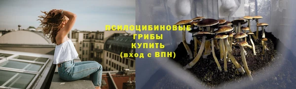 бошки Белоозёрский