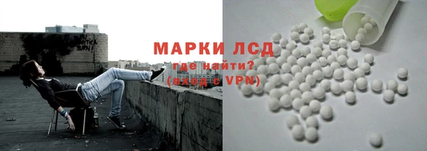 шишки Беломорск