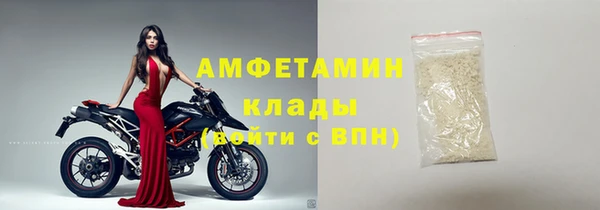 шишки Беломорск