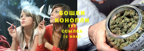 шишки Беломорск