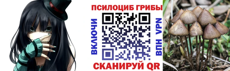 купить закладку Горно-Алтайск Галлюциногенные грибы Magic Shrooms